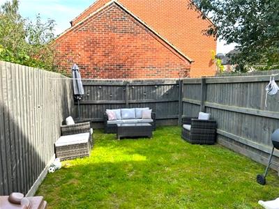 Picture 14